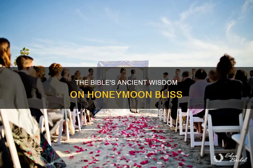 what does the bible say about honeymoon
