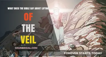 Biblical Insights: Unveiling the Meaning of Lifting the Veil