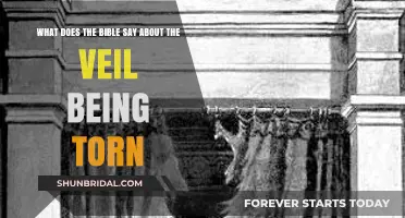 The Torn Veil: Unveiling Biblical Insights on Redemption and Access