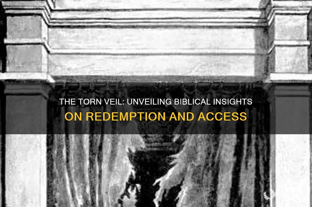 what does the bible say about the veil being torn