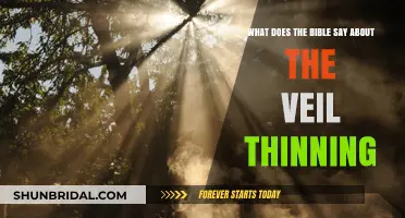 Biblical Insights: Understanding the Veil Thinning in Scripture