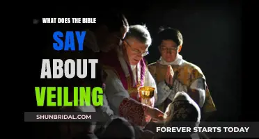 Biblical Insights on Veiling: Uncovering Scriptural Teachings and Cultural Contexts