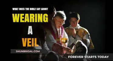 Biblical Insights: Veil-Wearing Traditions and Their Spiritual Significance Explored
