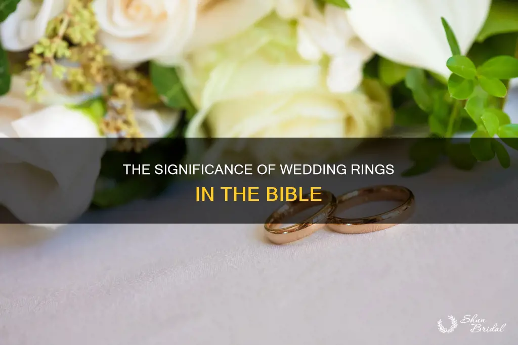 what does the bible say about wedding rings kjv