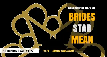 Unveiling the Meaning: Black Veil Brides' Star Symbol Explained