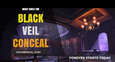 Unveiling the Mystery: What Lies Beneath the Black Veil?