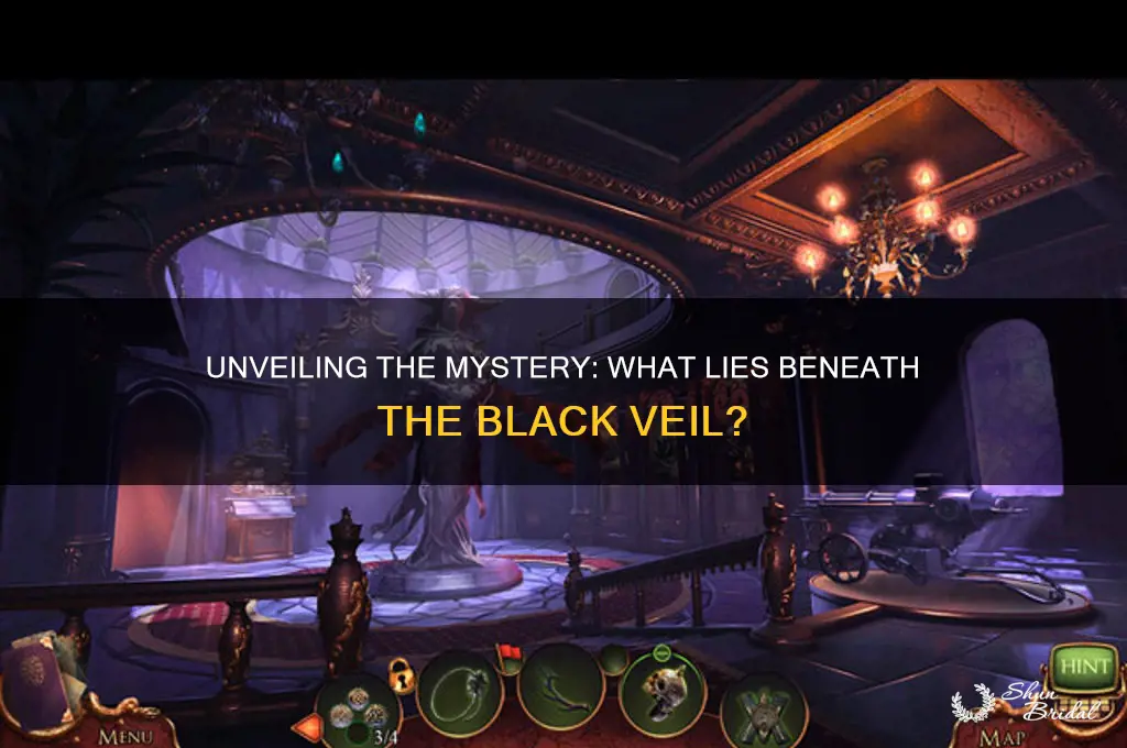 what does the black veil conceal