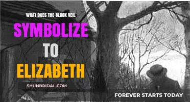 The Black Veil's Hidden Meaning: Elizabeth's Perspective Unveiled