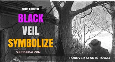 Unveiling the Mystery: The Symbolic Meaning of the Black Veil