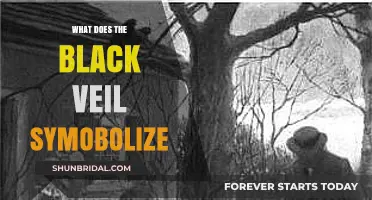 Unveiling the Mystery: The Symbolic Meaning of the Black Veil