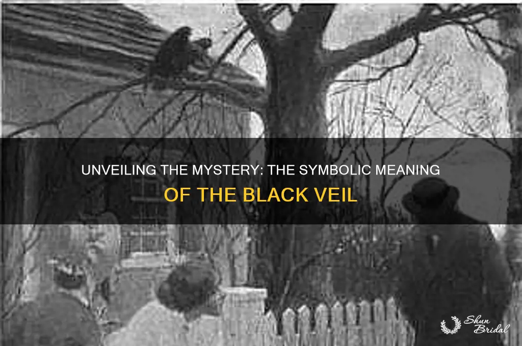 what does the black veil symobolize