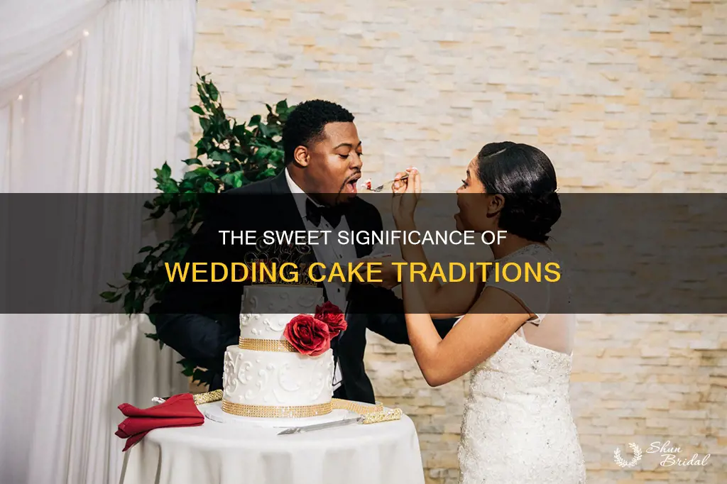 what does the cake feeding at a wedding symbolize