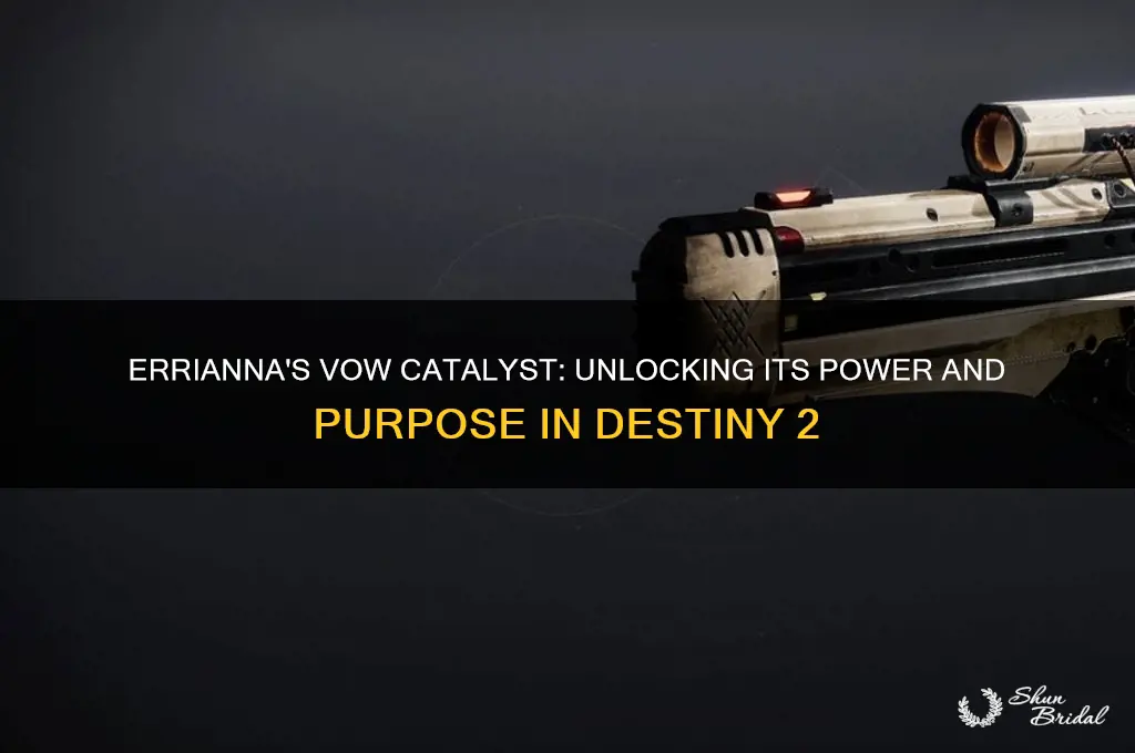 what does the erriannas vow catalyst do