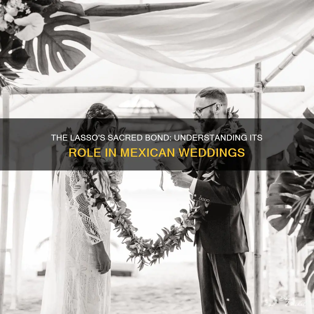 what does the lasso mean in a mexican wedding