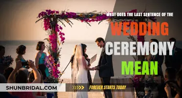 Understanding the Last Sentence of Your Wedding Ceremony: A Deep Dive