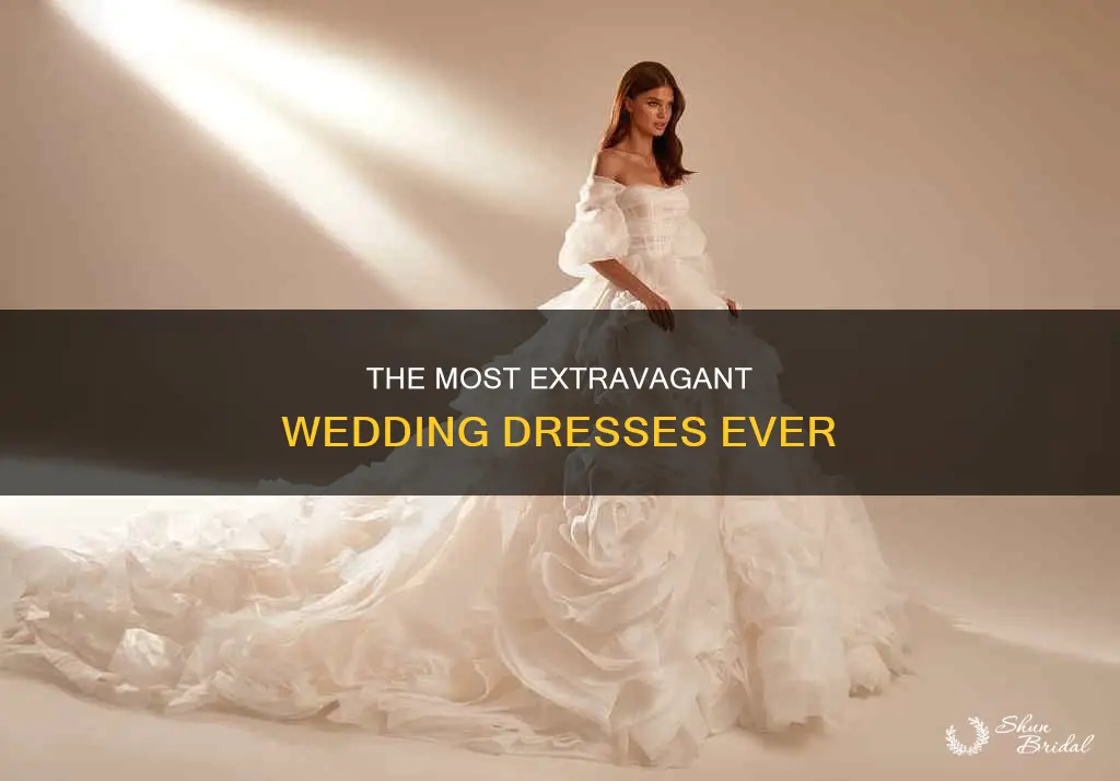 what does the most expensive wedding dress look like