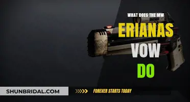 Unveiling Eriana's Vow: Destiny 2's MW Exotic Scout Rifle Perks