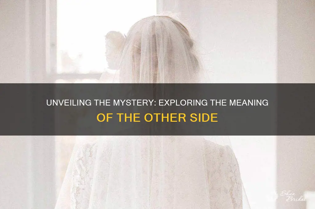 what does the other side of the veil mean