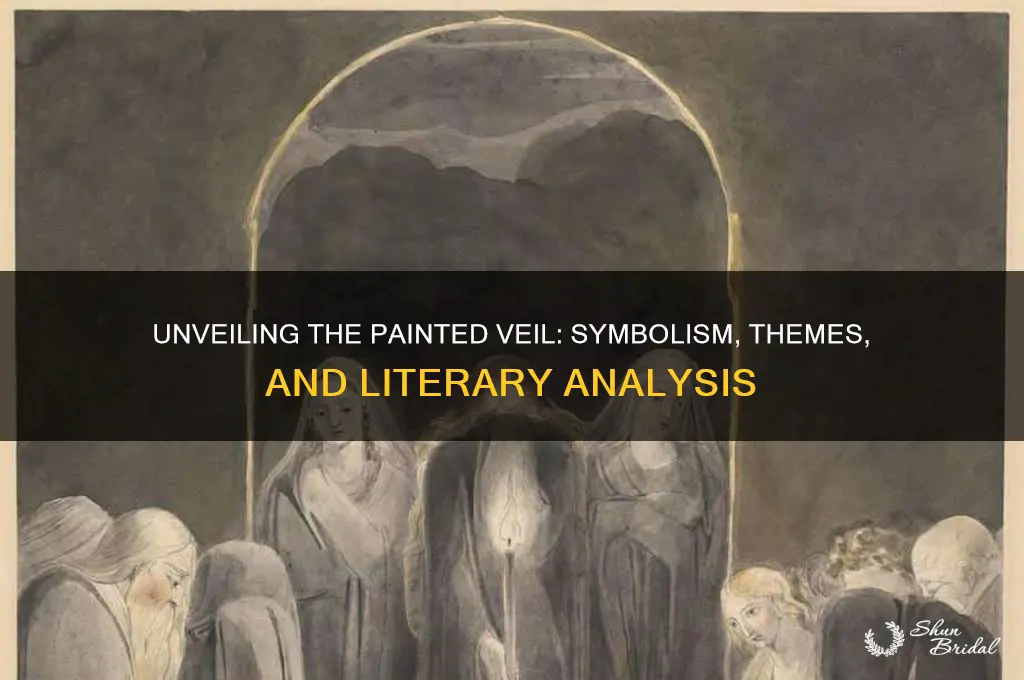 what does the painted veil mean