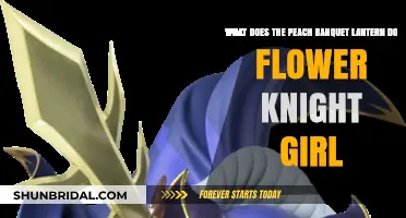 Peach Banquet Lantern's Role in Flower Knight Girl Explained
