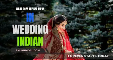 The Significance of Red in Indian Weddings