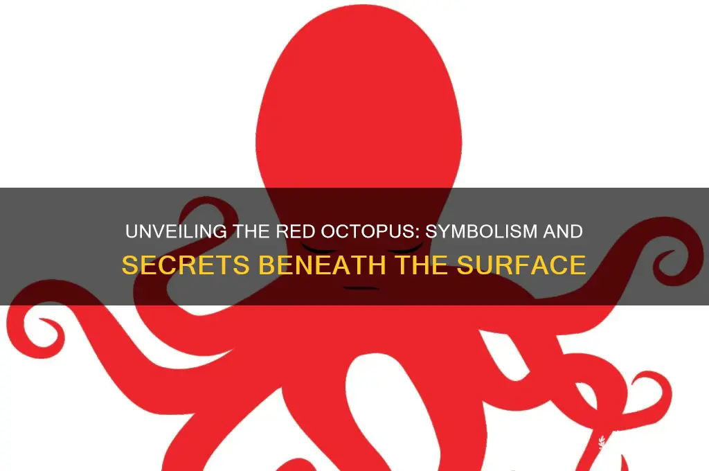 what does the red octopus represent veil of secrets