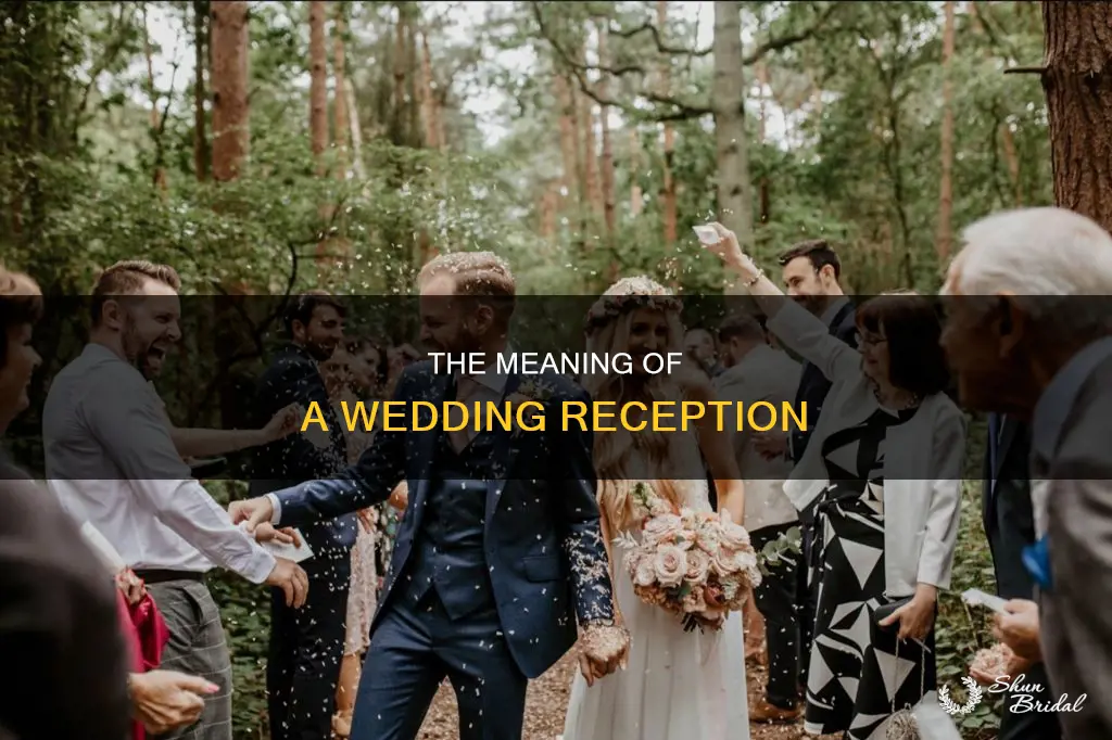 what does the term wedding reception mean