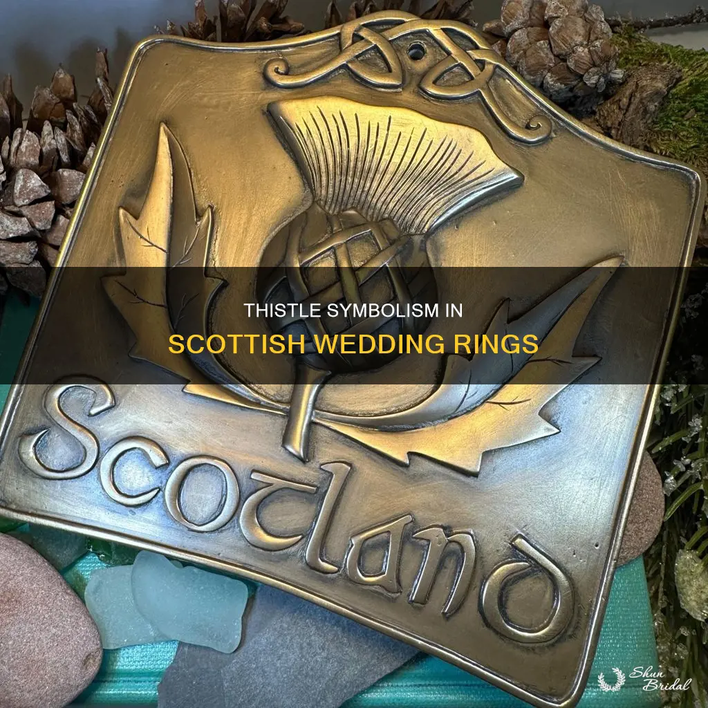 what does the thistle represent in scottish wedding ring