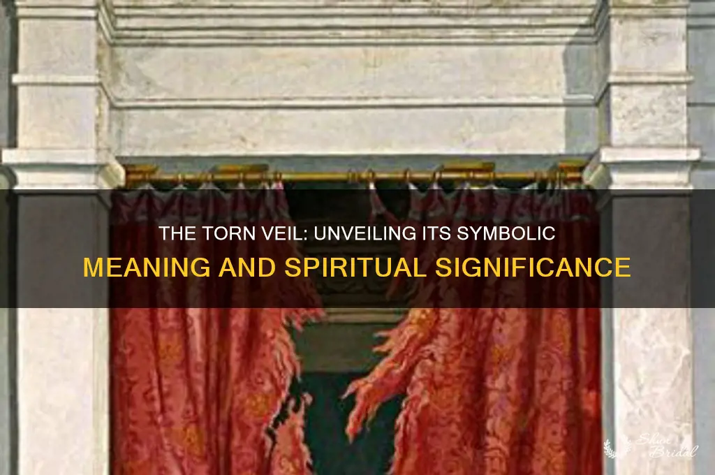 what does the torn veil represent