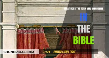 The Torn Veil: Unveiling the Biblical Symbolism of Redemption