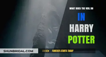 Unveiling the Veil: Its Role and Mystery in Harry Potter