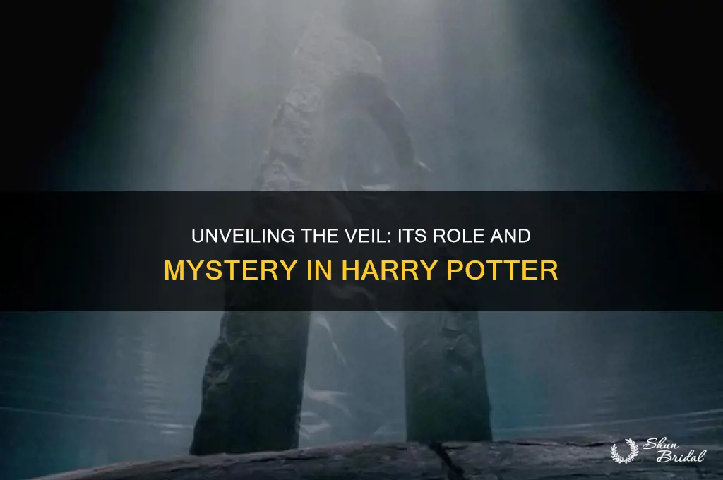 what does the veil do in harry potter