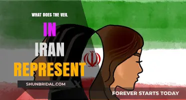 The Veil in Iran: Symbolism, Culture, and Societal Significance Explained