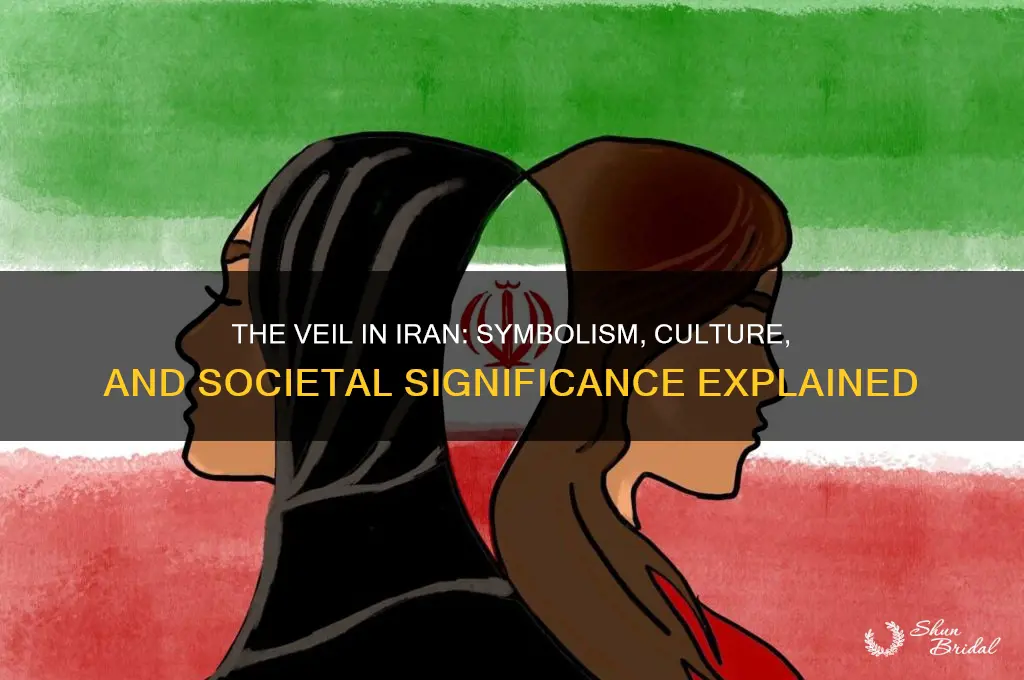 what does the veil in iran represent
