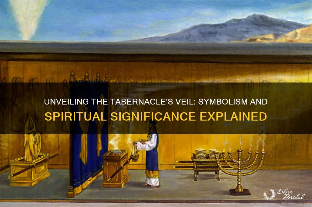 what does the veil in the tabernacle symbolize
