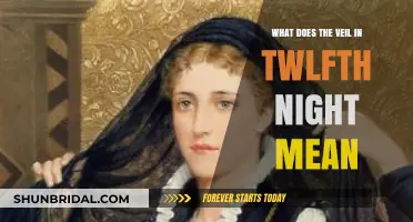 Unveiling the Symbolism: The Veil's Significance in Twelfth Night Explored