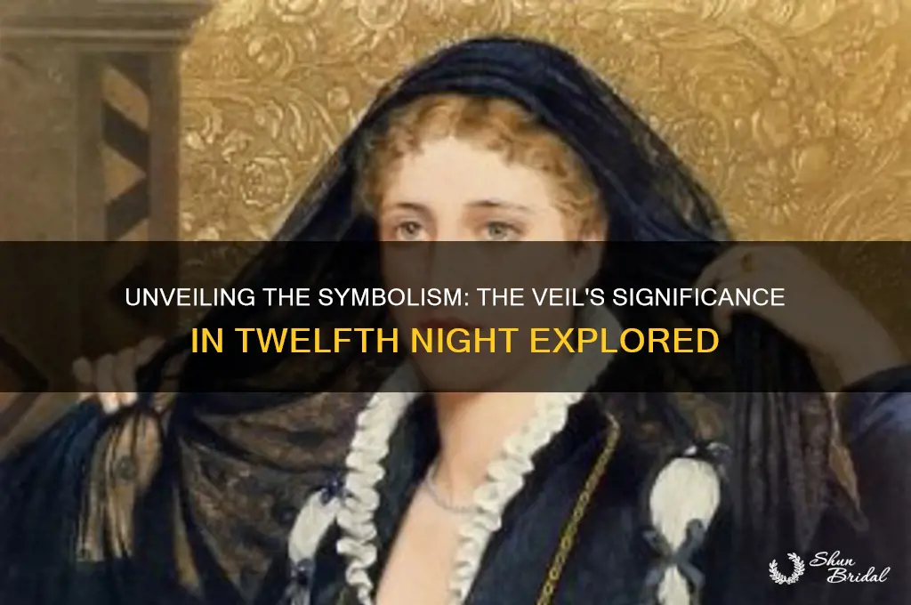 what does the veil in twlfth night mean