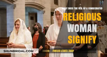 The Veil's Sacred Meaning: Symbolism for Consecrated Religious Women