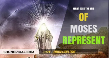 Unveiling the Veil of Moses: Symbolism and Spiritual Significance Explained