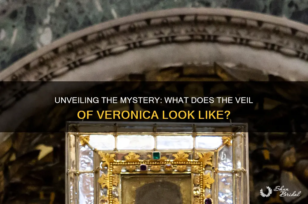 what does the veil of veronica look like