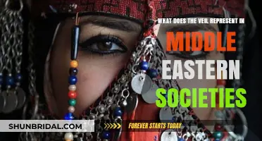 The Veil's Symbolic Role in Middle Eastern Culture and Identity
