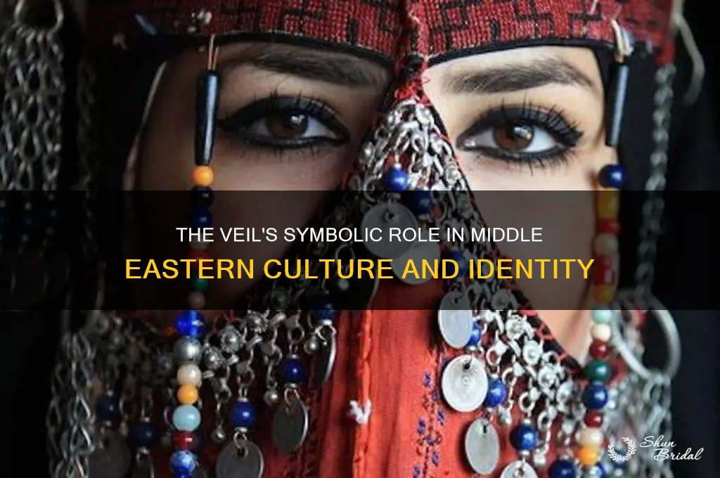 what does the veil represent in middle eastern societies