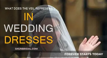 The Veil's Meaning in Wedding Dresses