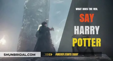 Unveiling the Mystery: What Does the Veil Symbolize in Harry Potter?