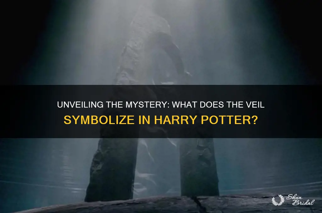 what does the veil say harry potter