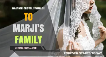 The Veil's Significance: Marji's Family and Cultural Identity Explored