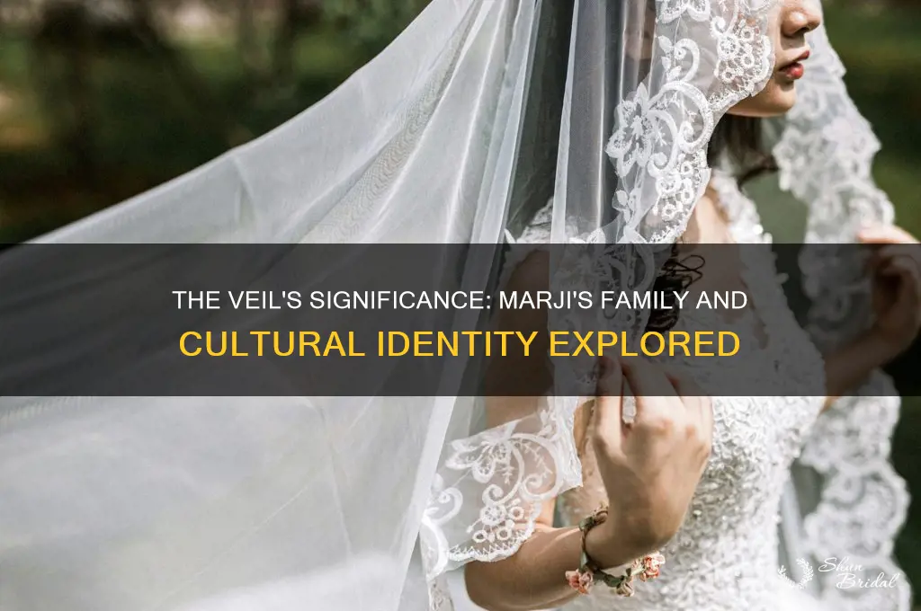 what does the veil symbolize to marji