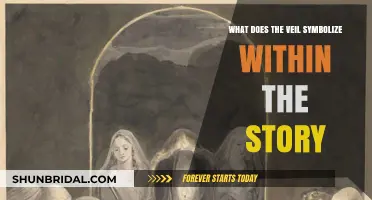 Unveiling the Symbolic Meaning of the Veil in the Narrative