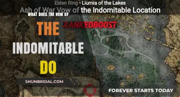 Understanding the Vow of the Indomitable: Powers, Effects, and Gameplay Impact