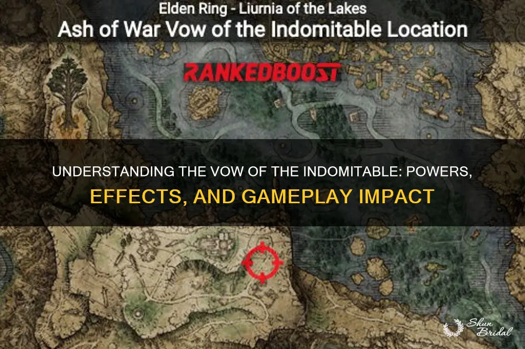 what does the vow of the indomitable do